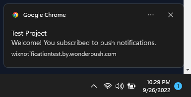 WonderPush Wix Test Push Notification